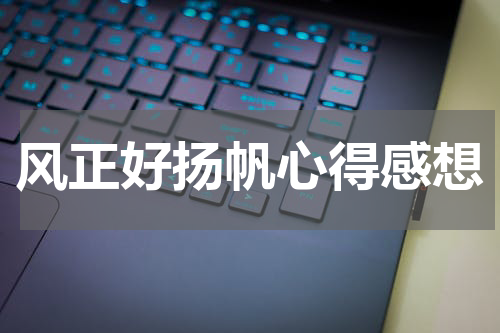 风正好扬帆心得感想