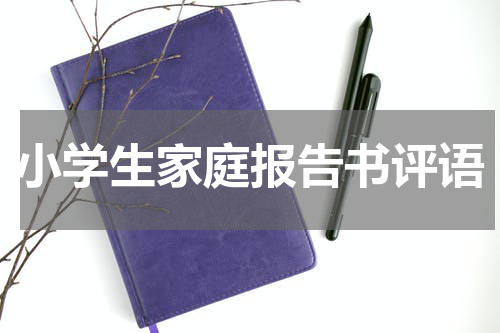 小学生家庭报告书评语