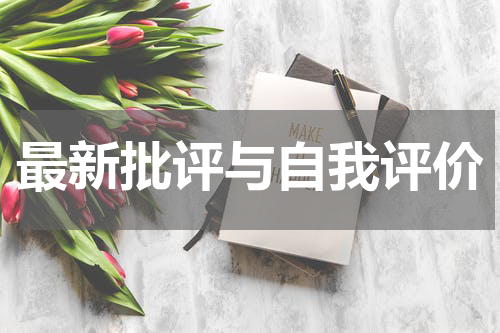 最新批评与自我评价