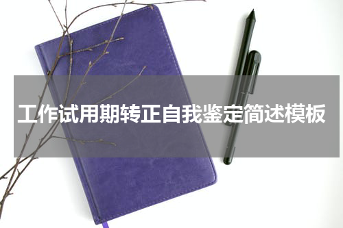 工作试用期转正自我鉴定简述模板