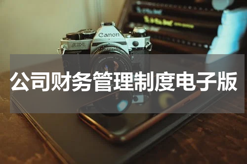 公司财务管理制度电子版