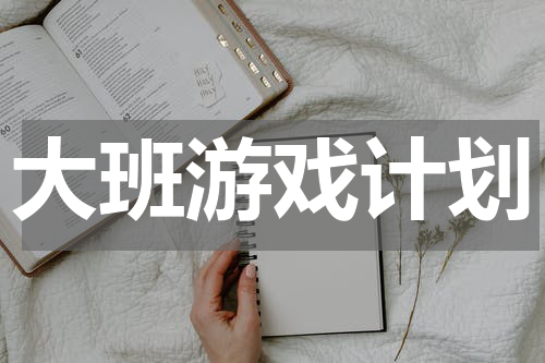 大班游戏计划