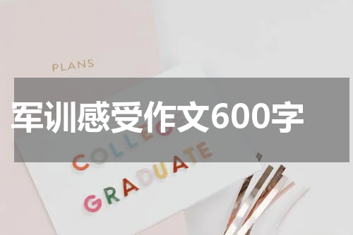 军训感受作文600字