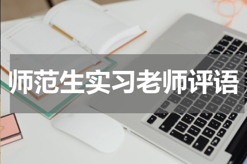 师范生实习老师评语