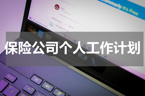 保险公司个人工作计划