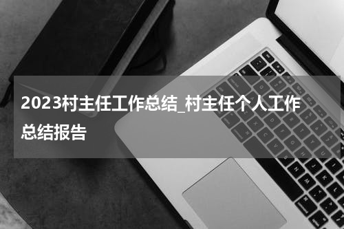2023村主任工作总结_村主任个人工作总结报告