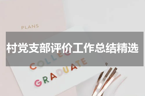 村党支部评价工作总结精选