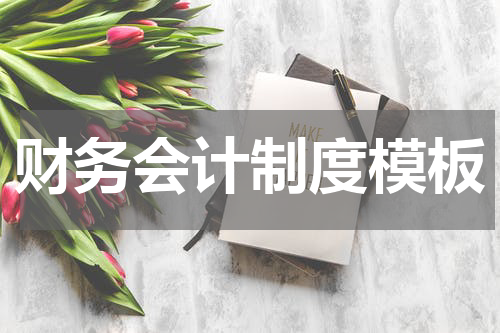 财务会计制度模板