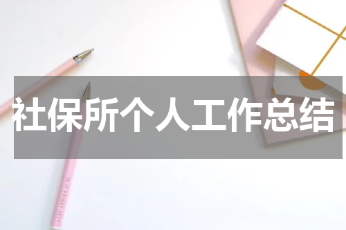 社保所个人工作总结