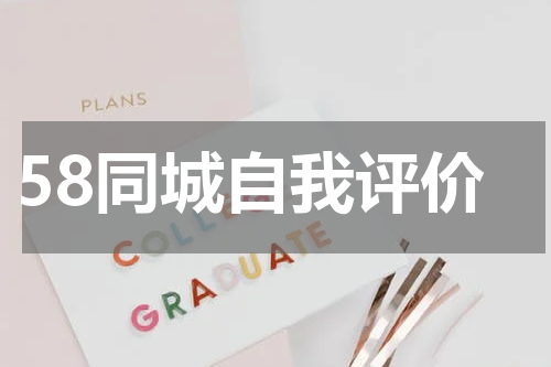 58同城自我评价