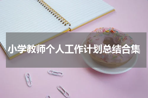 小学教师个人工作计划总结合集