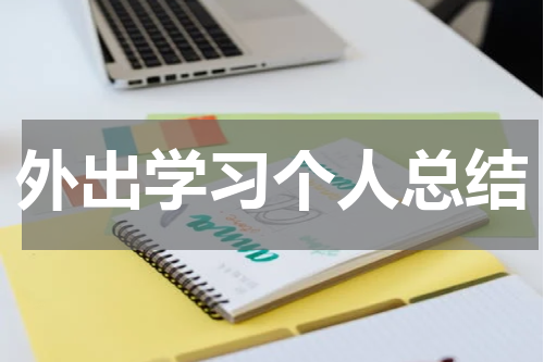 外出学习个人总结