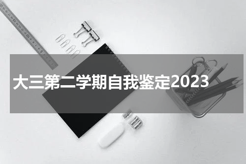 大三第二学期自我鉴定2023