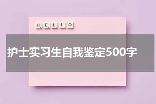护士实习生自我鉴定500字