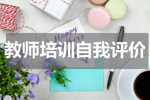 教师培训自我评价