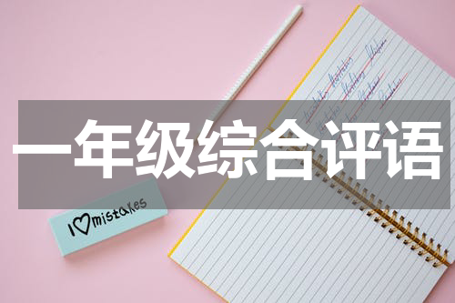 一年级综合评语