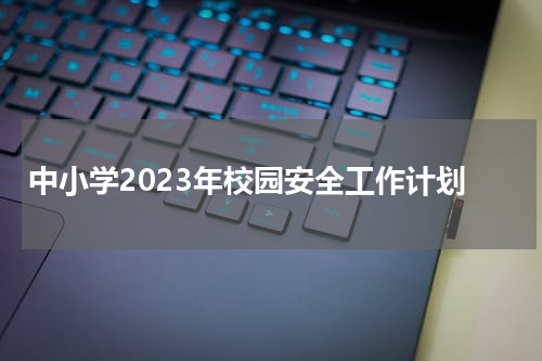 中小学2023年校园安全工作计划