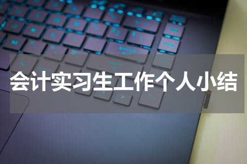 会计实习生工作个人小结