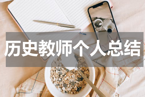 历史教师个人总结