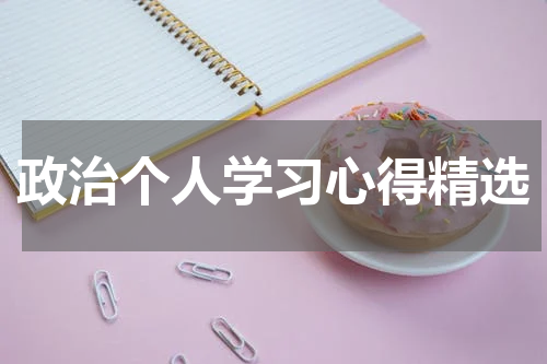 政治个人学习心得精选