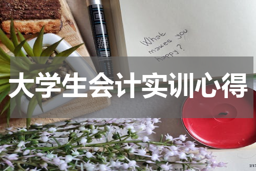 大学生会计实训心得