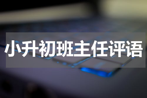 小升初班主任评语