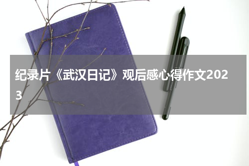 纪录片《武汉日记》观后感心得作文2023