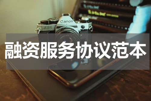融资服务协议范本
