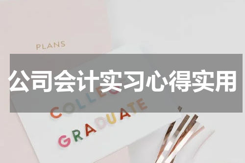公司会计实习心得实用