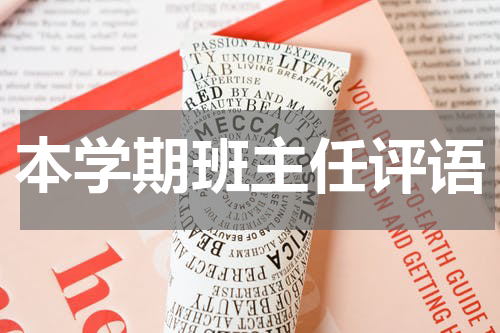 本学期班主任评语