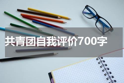 共青团自我评价700字