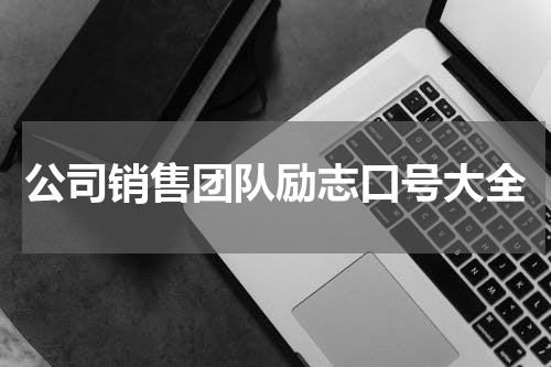 公司销售团队励志口号大全