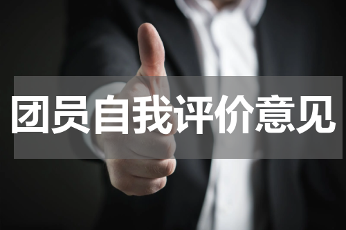 团员自我评价意见