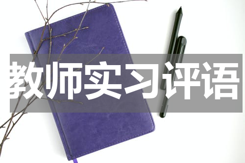 教师实习评语