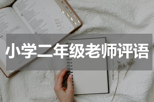 小学二年级老师评语