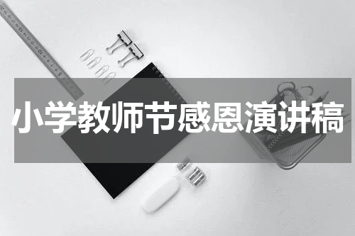 小学教师节感恩演讲稿