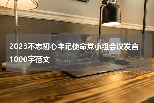 2023不忘初心牢记使命党小组会议发言1000字范文