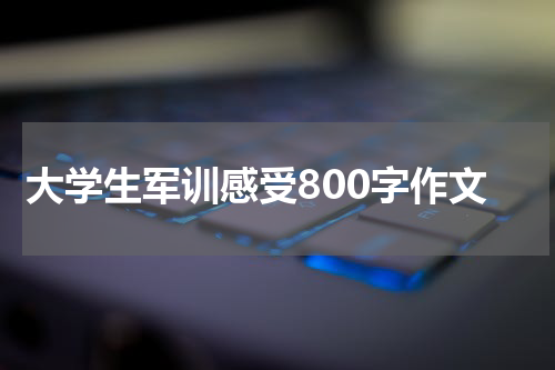 大学生军训感受800字作文