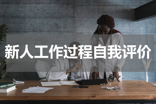 新人工作过程自我评价
