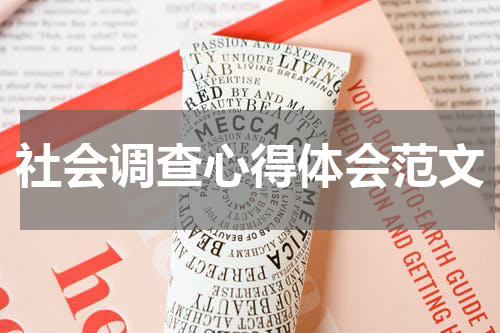 社会调查心得体会范文