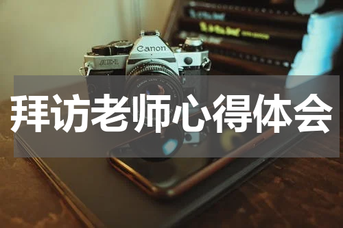 拜访老师心得体会