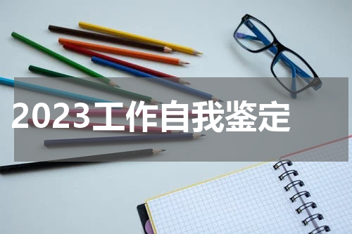 2023工作自我鉴定