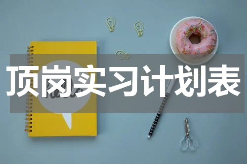 顶岗实习计划表