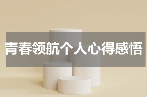 青春领航个人心得感悟