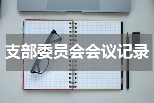 支部委员会会议记录