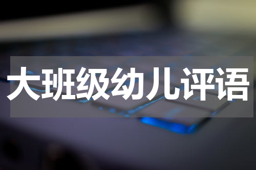 大班级幼儿评语