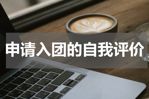 申请入团的自我评价