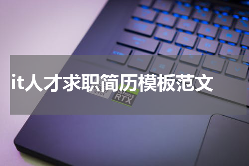 it人才求职简历模板范文