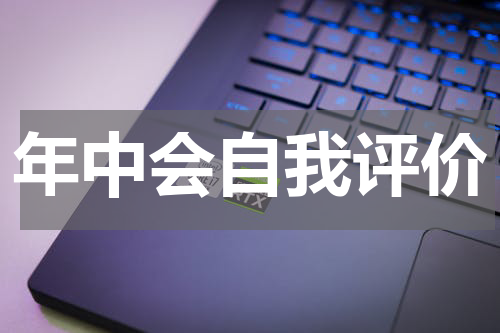 年中会自我评价