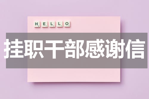 挂职干部感谢信